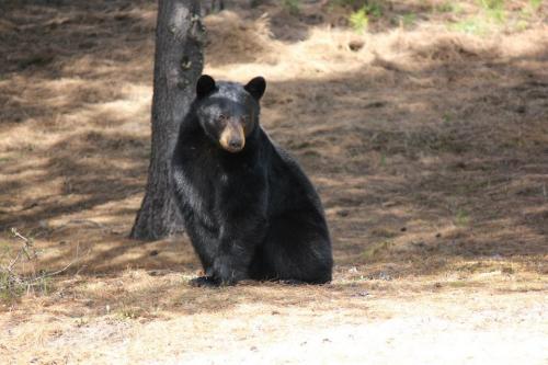 601684_10201080228986467_880777841_n_10201080228986467