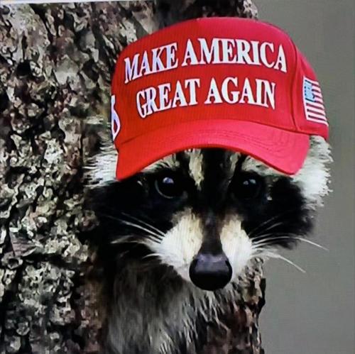 18:19:33 GMT-0400 (EDT)