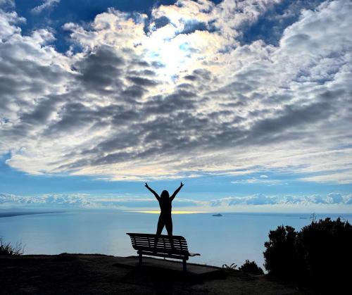 79487028_2747734138610821_7213388313682509824_o