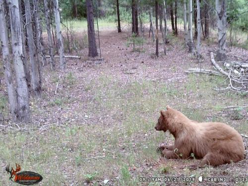 67601175_10219678056400529_7336125838913437696_o_10219678056320527