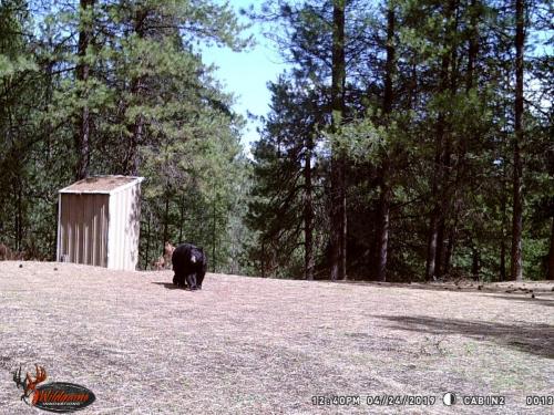 64673316_10219357707952018_2435205835031314432_o_10219357707912017