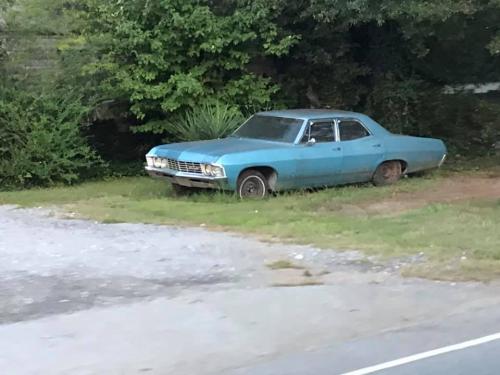 119446815_2704294863221425_536116891540133413_n_2704294859888092