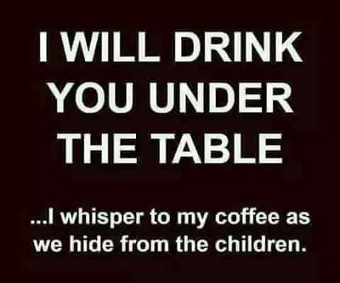 20228962_1586757381354949_1352567493200796342_n