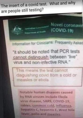 FB_IMG_1602528228468