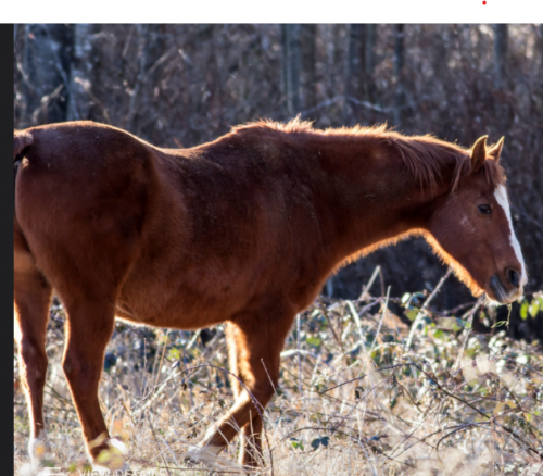 Screenshot 2020-10-14 015147