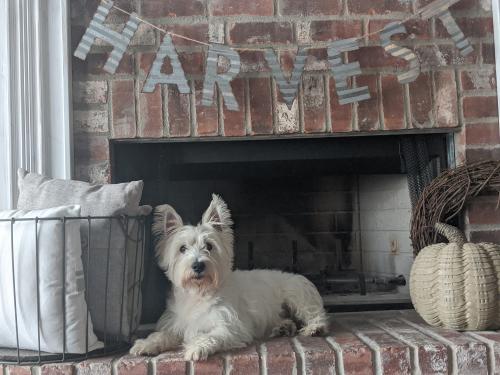 07:29:13 GMT-0500 (CDT)