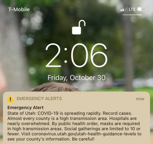 122995901_3745018158855613_8482800350178902732_n