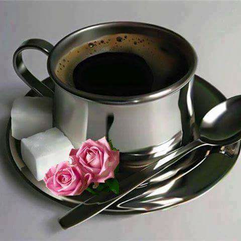 15894616_10202519547225867_1325389994737901793_n_10202519547225867