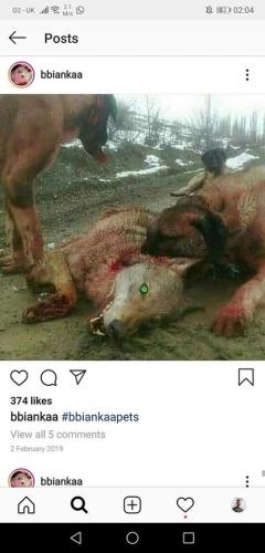 93874851_2762164824052472_2366433070636072960_o