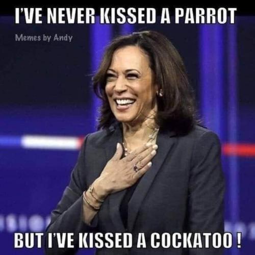 FB_IMG_1597278873478