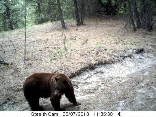 1044872_10201513526378631_493292029_n_10201513526378631