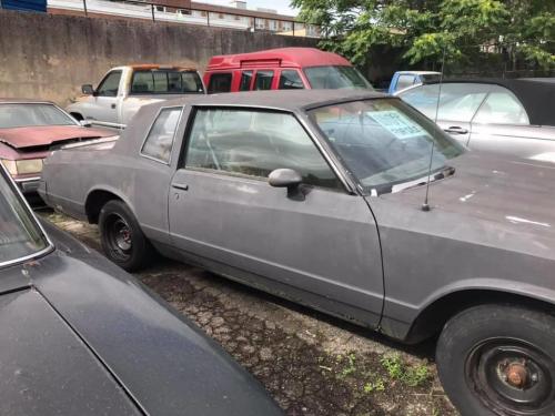 109683283_2651827131801532_519883375371955639_n_2651827128468199