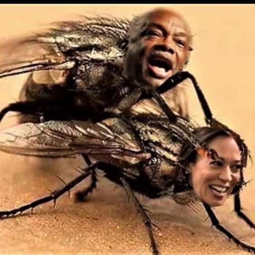 09:01:20 GMT-0600 (MDT)