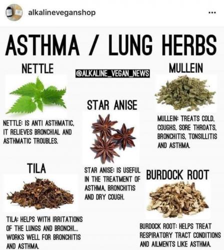 FB_IMG_1555680226204