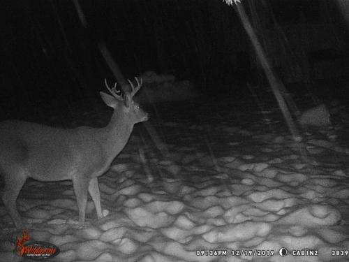 87882406_10221779982507368_8016916664006213632_o_10221779982467367