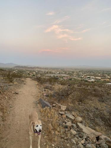 02E5881E-1B92-4AC4-81E1-30AF8291CC2D