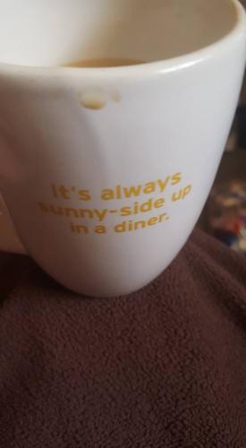 15095017_10202289135745724_1941426249363179123_n_10202289135745724