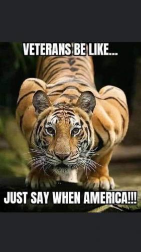 tiger