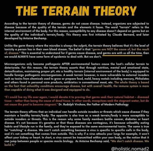 FB_IMG_1603067174130