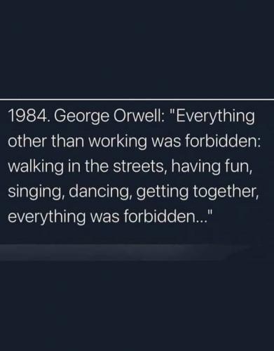 Everything_Was_Forbidden