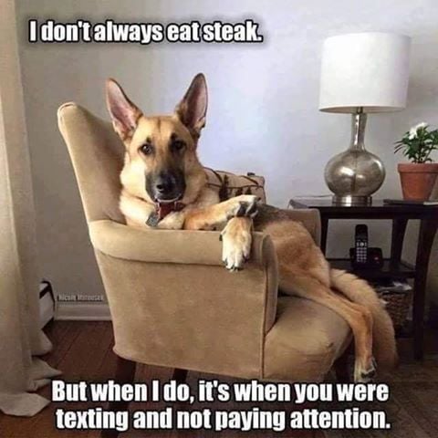 A steak