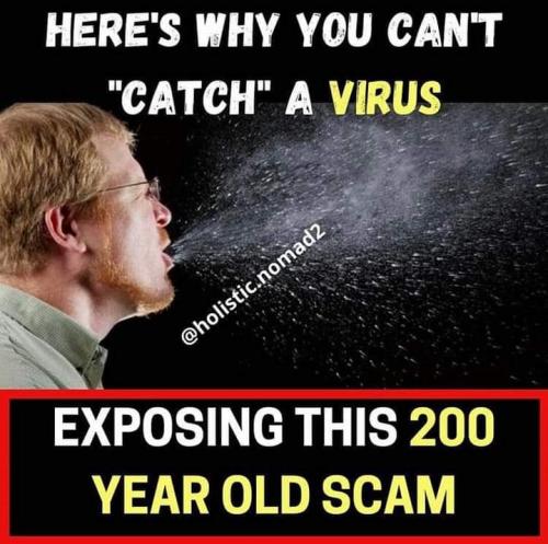 FB_IMG_1603067158293