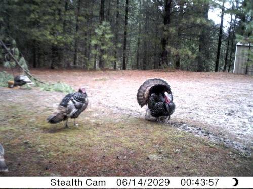 544953_10201010750849557_2020578224_n_10201010750849557