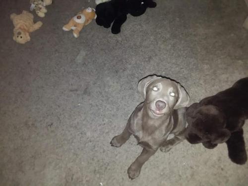 07:58:05 GMT-0400 (EDT)