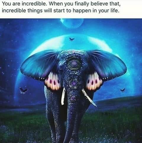 107072866_155825819444787_2835758811650933662_n