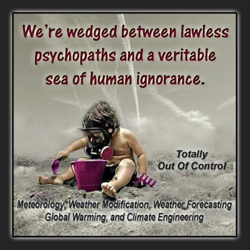 119551688_1691777657664169_1216463919782760349_n