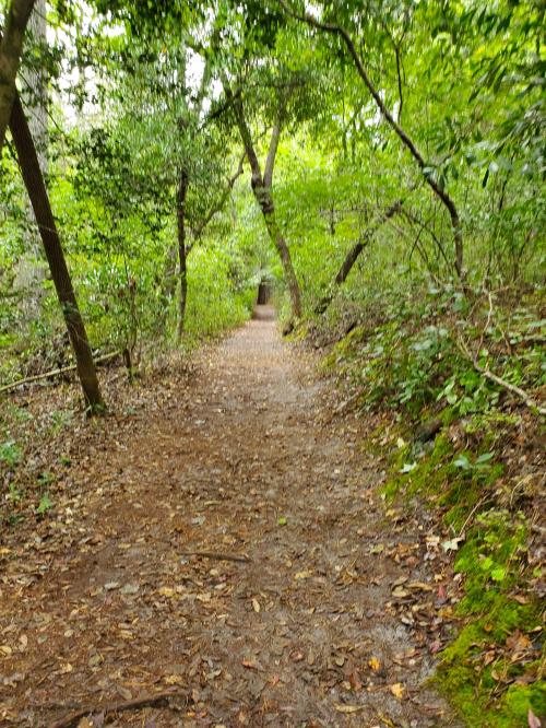 21:16:22 GMT-0400 (EDT)