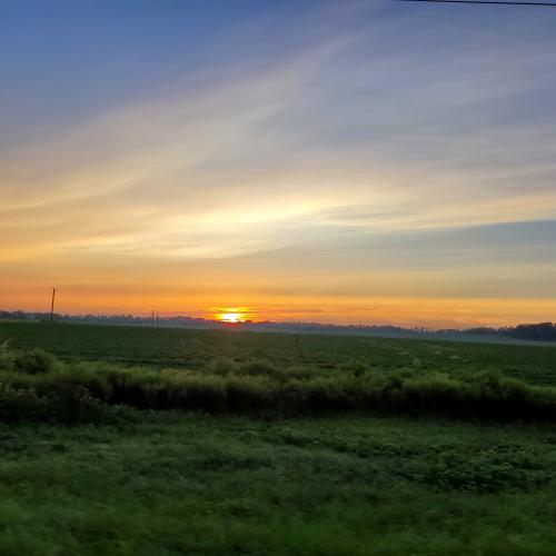 20:17:39 GMT-0500 (CDT)