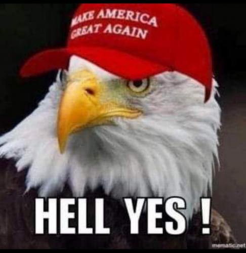 Screenshot_2020-10-01-05-23-10