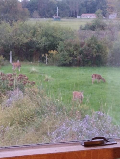 12:46:21 GMT-0400 (EDT)