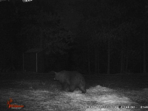 46976940_10217827185929924_8156229314140962816_o_10217827185889923