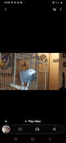 16:43:39 GMT-0400 (EDT)