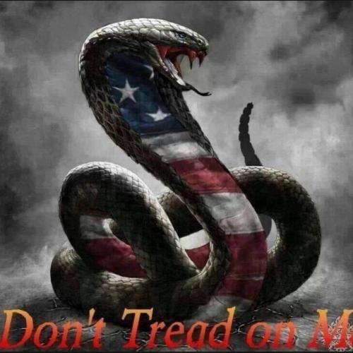 FB_IMG_1601111320663