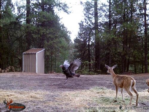 47075886_10217827187409961_423292322923413504_o_10217827187329959