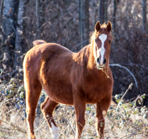 Screenshot 2020-10-14 015505