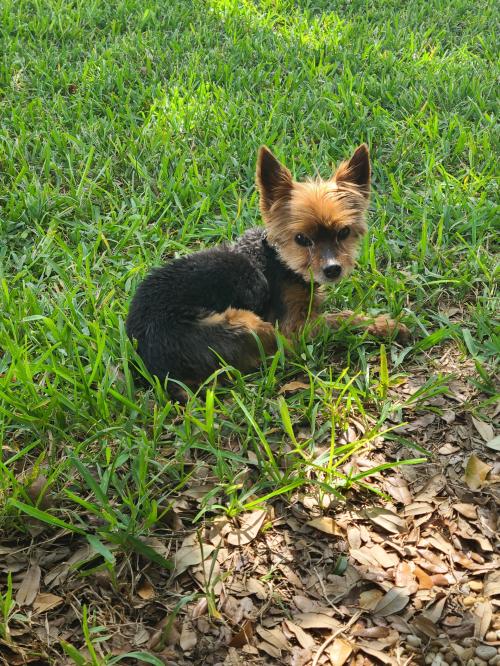 21:17:50 GMT-0500 (CDT)