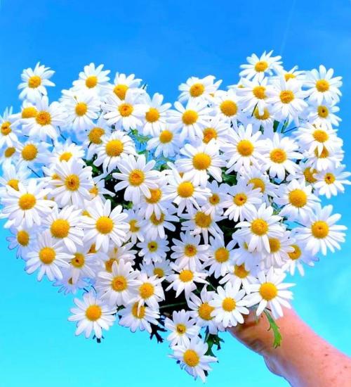 10:50:18 GMT-0500 (CDT)