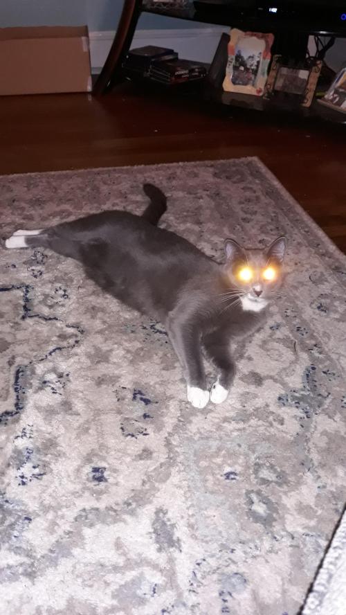 17:02:19 GMT-0500 (CDT)