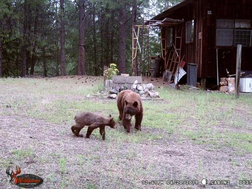 67560537_10219691359293093_8928119865915473920_o_10219691359253092