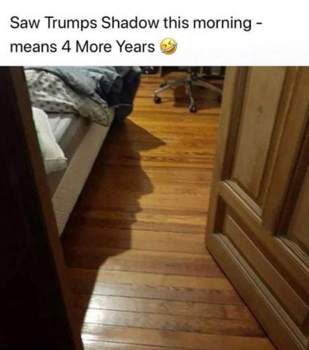 TrumpShadow