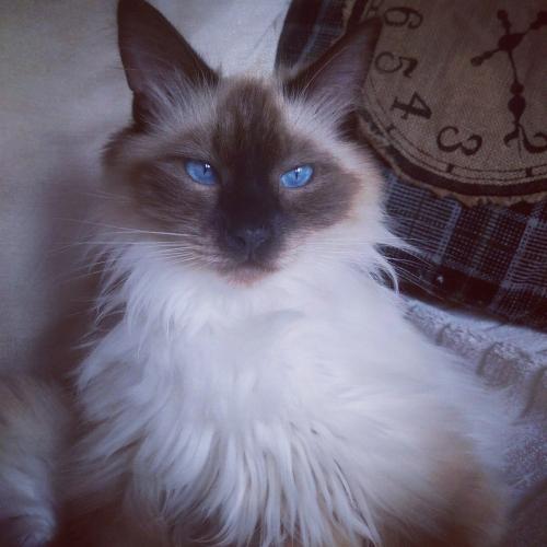 IMG_20170618_182938_455