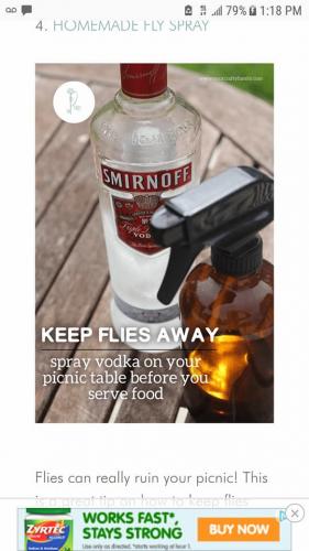 33769710_10204509175205323_8158621529320456192_n_10204509175165322