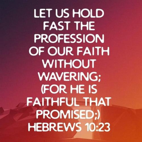 FB_IMG_1603370482254