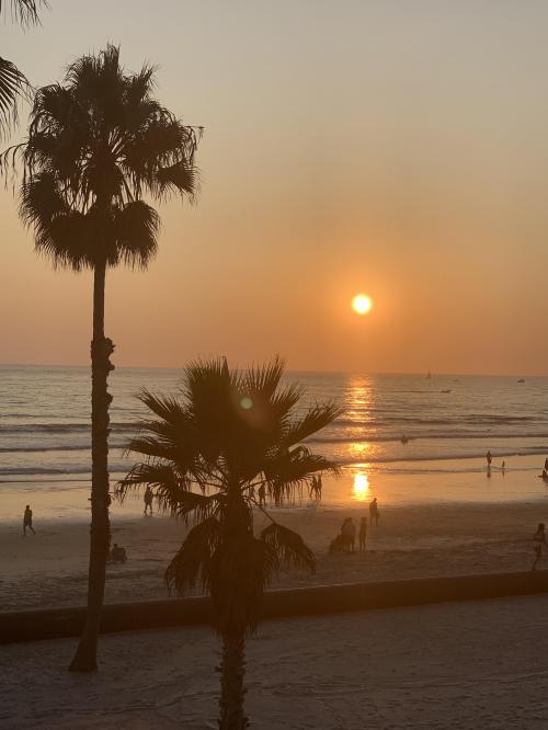 103B86A0-F707-433E-979F-D9E3D0FCE707