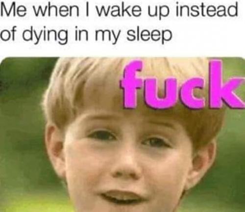 48310418_10205186765144648_2835566730560929792_n_10205186765024645