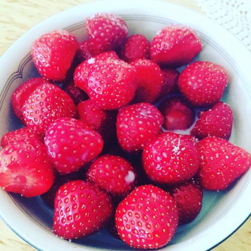 EE07994D-25EC-4831-897C-94CA56BB783D